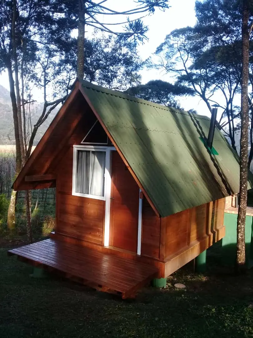 Chalé pequeno em A, de madeira e telhado verde, com a varanda de deck entre as araucárias